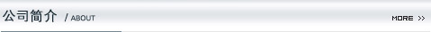 公司簡(jiǎn)介